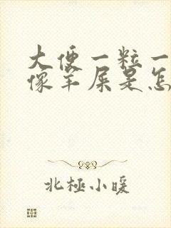 大便一粒一粒的像羊屎是怎么回事