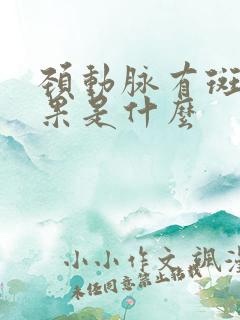 颈动脉有斑块后果是什么