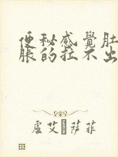 便秘感觉肚子胀胀的拉不出来屎怎么办