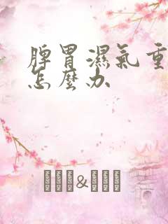 脾胃湿气重火大怎么办