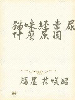 猫咪经常尿闭是什么原因