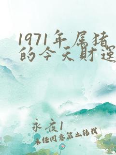 1971年属猪的今天财运如何