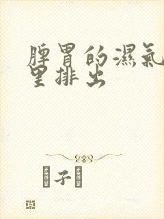 脾胃的湿气从哪里排出