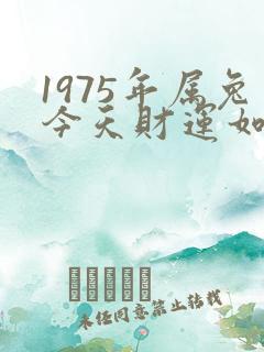 1975年属兔今天财运如何