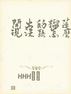 开出的榴莲肉发现没熟怎么办