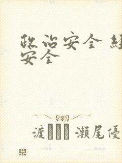 政治安全 经济安全