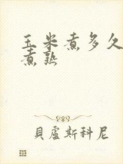 玉米煮多久才能煮熟