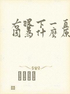 右眼下一直跳是因为什么原因