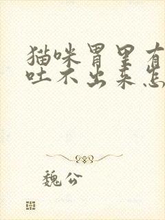 猫咪胃里有毛球吐不出来怎么办