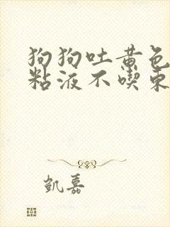 狗狗吐黄色泡沫粘液不吃东西怎么办