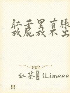 肚子里有胀气想放屁放不出来怎么办