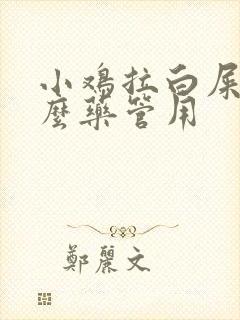 小鸡拉白屎吃什么药管用