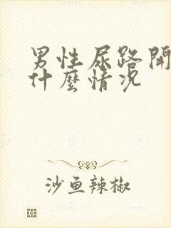 男性尿路开叉是什么情况