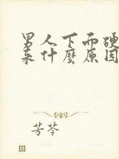 男人下面硬不起来什么原因