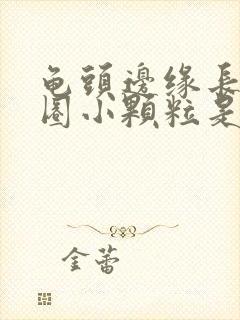 龟头边缘长了一圈小颗粒是什么原因