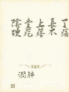 阴囊上长了一个硬疙瘩不痛不痒