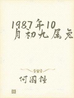 1987年10月初九属兔的命运和财运