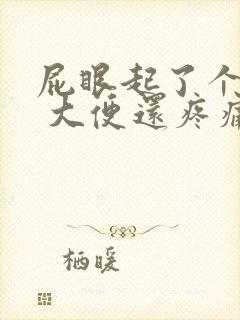 屁眼起了个肉球 大便还疼痛