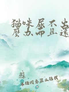 猫咪尿不出尿怎么办而且还有血