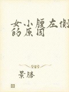 女小腹左侧疼痛的原因