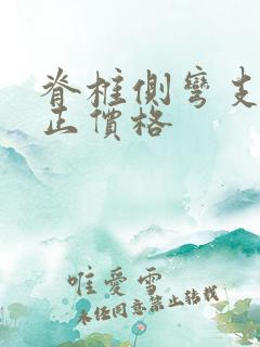 脊椎侧弯支具矫正价格