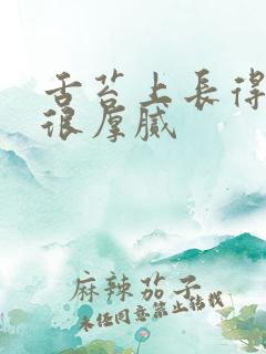 舌苔上长得白的很厚腻