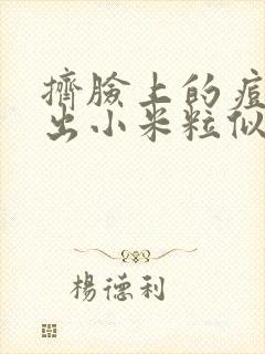 挤脸上的痘痘挤出小米粒似的白东西