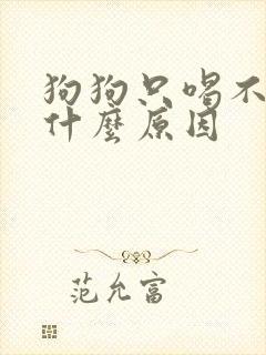 狗狗只喝不尿是什么原因