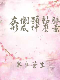 左侧颈动脉斑块形成什么意思