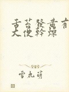 舌苔发黄有齿痕大便干燥