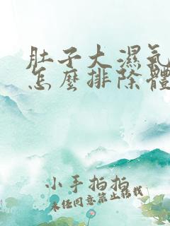 肚子大湿气太重怎么排除体内湿气