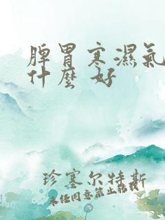 脾胃寒湿气重吃什么 好