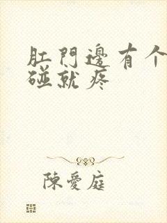 肛门边有个包一碰就疼