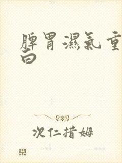 脾胃湿气重舌苔白