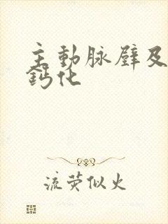 主动脉壁及冠脉钙化