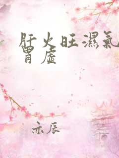 肝火旺湿气重脾胃虚