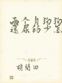 两个月狗狗尿频还尿的少怎么办