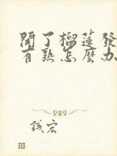 开了榴莲发现没有熟怎么办?