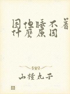 困但睡不着觉是什么原因