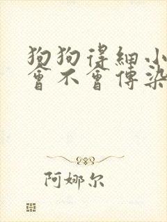 狗狗得细小病毒会不会传染给人类