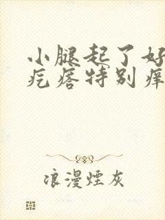 小腿起了好多小疙瘩特别痒