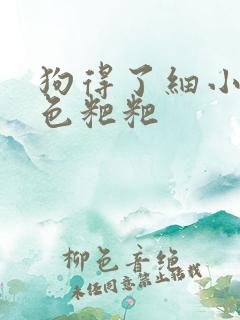 狗得了细小拉黑色粑粑