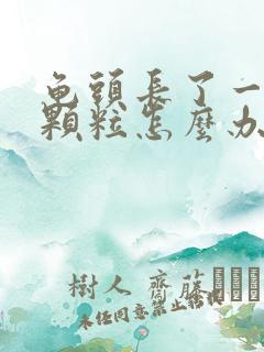 龟头长了一圈小颗粒怎么办