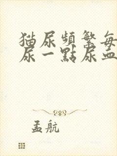 猫尿频繁每次只尿一点尿血