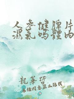 人参健脾片能去湿气吗体内湿气太重