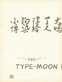 小狗得了犬瘟会传染给人吗