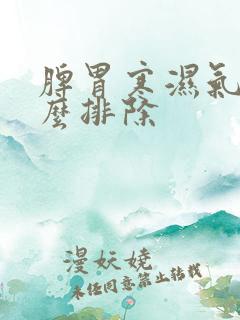 脾胃寒湿气重怎么排除