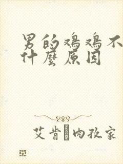 男的鸡鸡不硬是什么原因