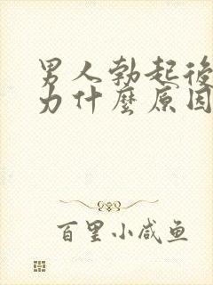 男人勃起后软无力什么原因