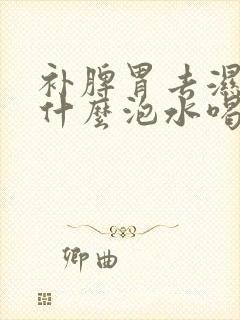 补脾胃去湿气用什么泡水喝